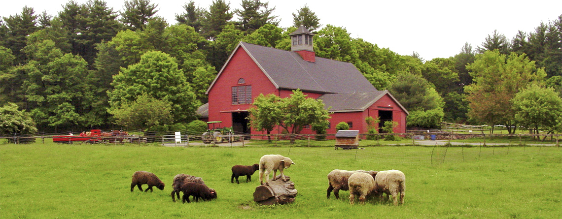Mass Audubon’s Drumlin Farm Wildlife Sanctuary
