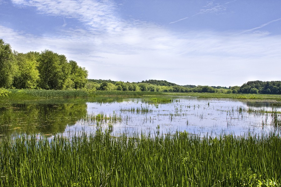 Remove Great Meadows