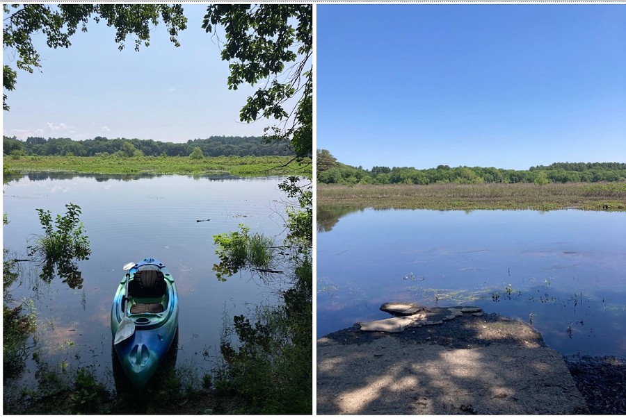 Great Meadows Canoe Landing, Sudbury River (7/6/23 vs. 6/15/23)