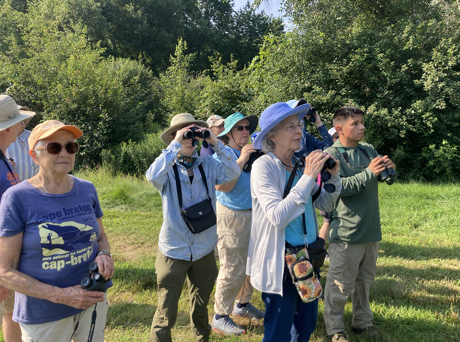 Birding (7/28/24)